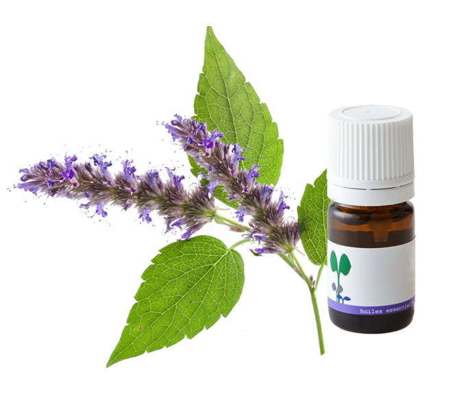 herbal-pure-product-6